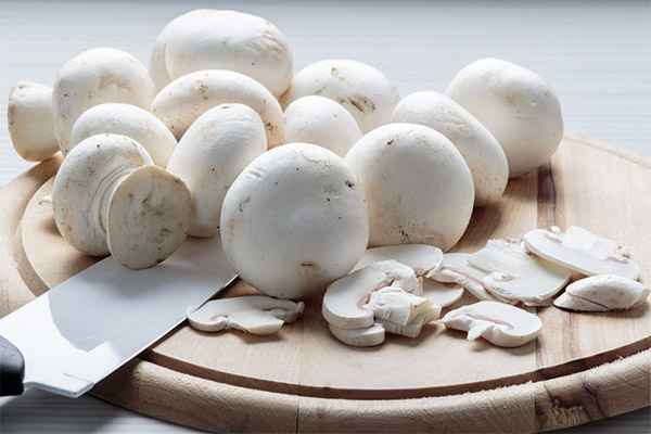 Có thể ăn champignons thô