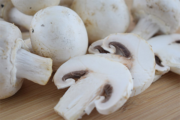 Kunnen rauwe champignons worden vergiftigd