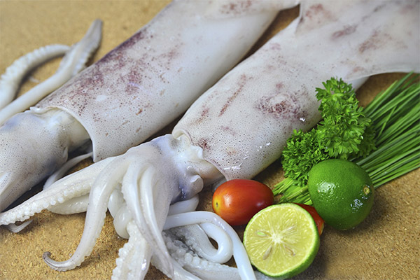 ¿Es posible comer calamares en Cuaresma?