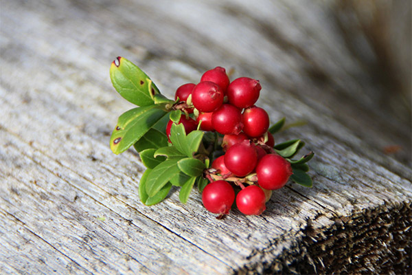 Propietats útils de lingonberries