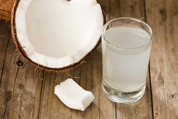 Les propietats beneficioses de l’aigua de coco