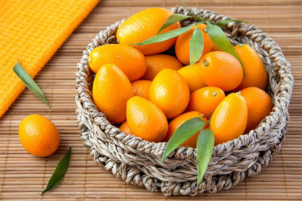 Propiedades útiles de kumquat