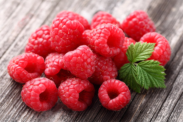 Nützliche Eigenschaften von Himbeeren