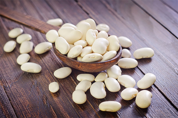 The benefits and harms of white beans