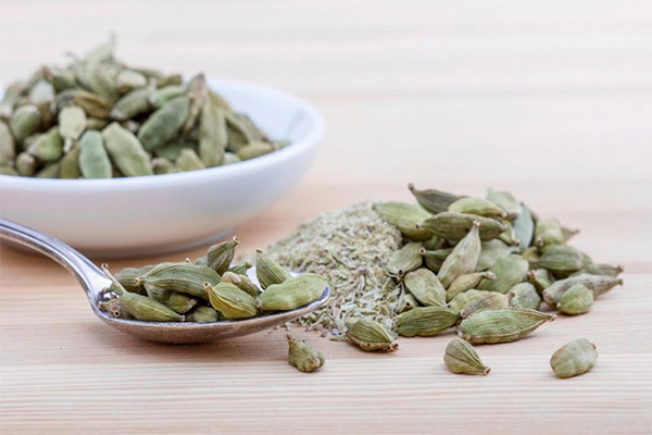 The use of cardamom in cooking