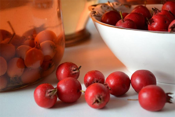 Traditional medicine recipes based on hawthorn