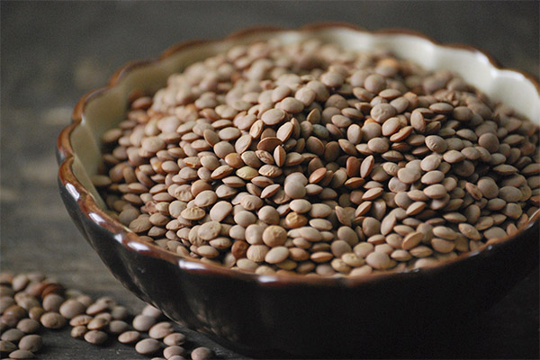 Mga recipe ng tradisyonal na gamot na batay sa Lentil