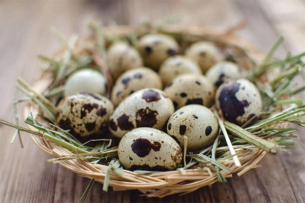 Tradicionālās medicīnas receptes, kas balstītas uz paipalu olām