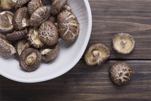 Shiitake in cosmetologie