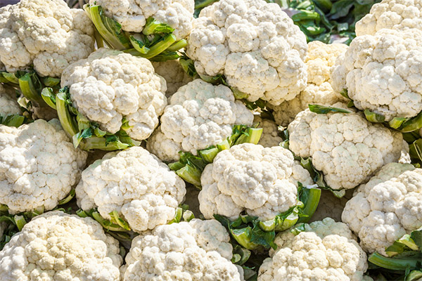 Hoeveel bloemkool kan ik per dag eten