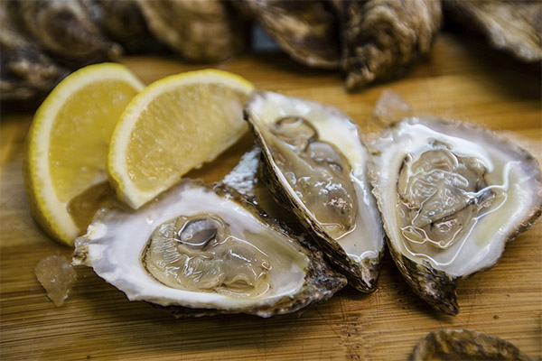 Schade en contra-indicaties oesters