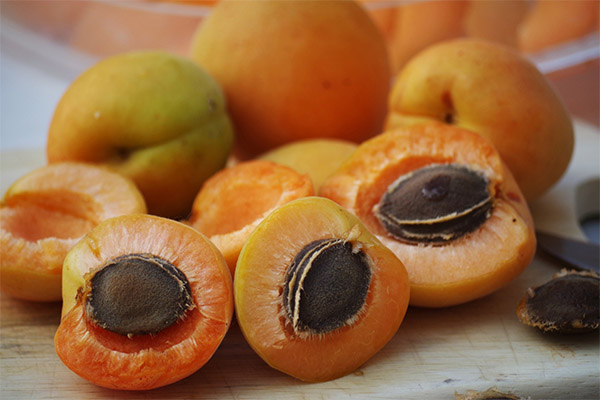 Apricot pits in cooking