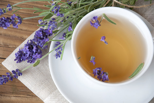 Teh dengan lavender dalam perubatan