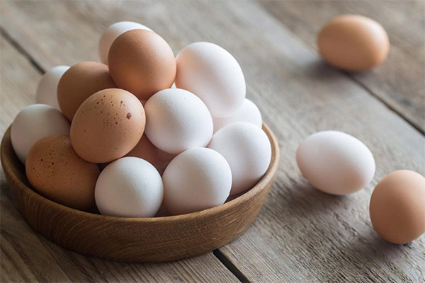 Wat is het verschil tussen witte en bruine eieren?