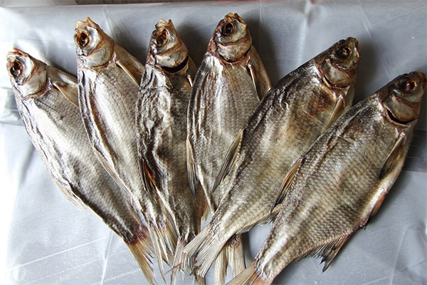 Apa kegunaan ikan kering dan kering