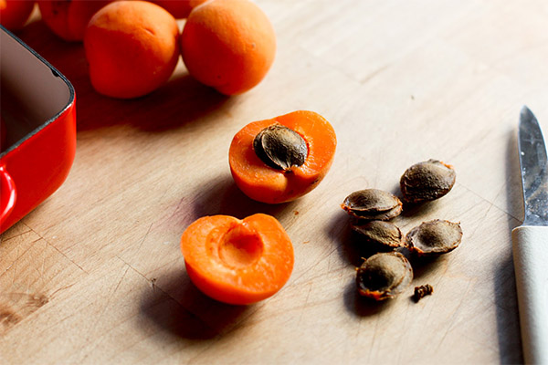 What are apricot kernels useful for?