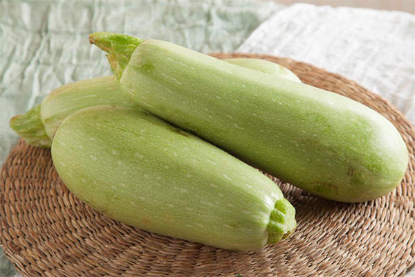 Wat zijn nuttige courgette