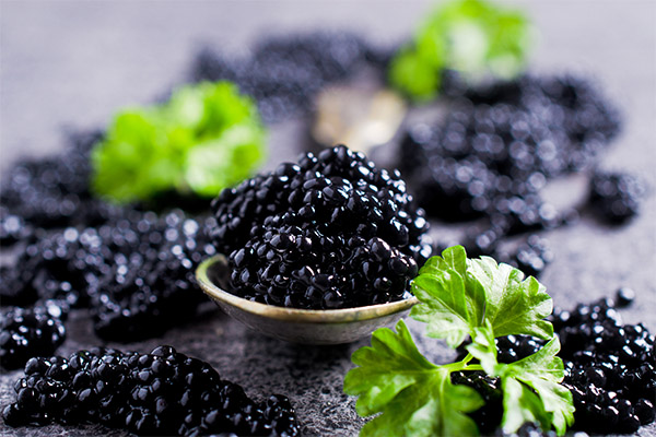 Caviar negre en medicina