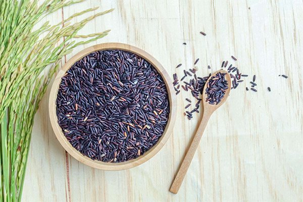 Arroz negro en medicina