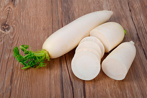 Daikon in de geneeskunde