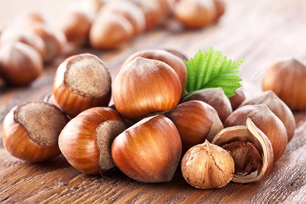 Mga Hazelnuts sa gamot