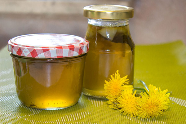 Dove conservare la marmellata di tarassaco