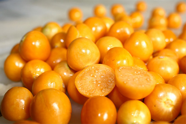 Ang mga kagiliw-giliw na katotohanan tungkol sa physalis