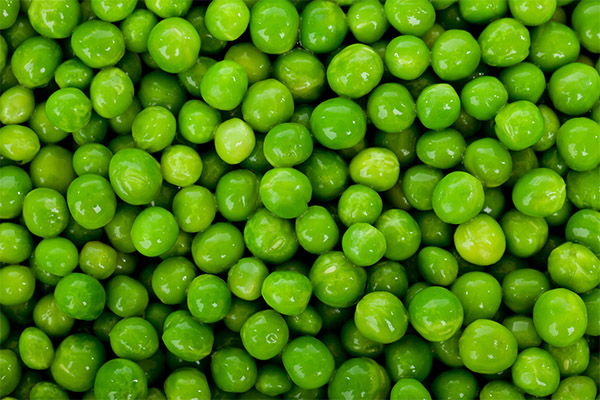 Faits intéressants sur les pois