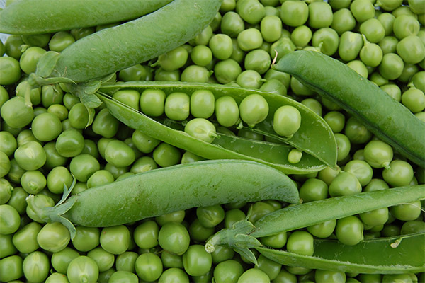 Interesting facts about peas