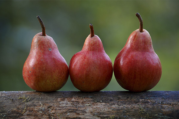 Interessante feiten over peren