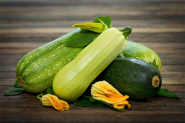 Interessante feiten over courgette