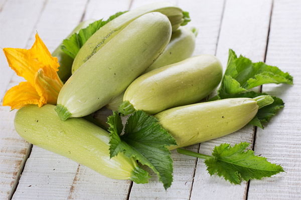 Interessante fakta om courgette