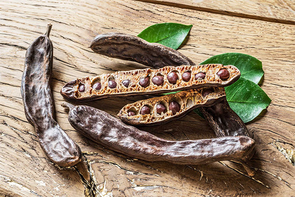 Interessante carob fakta