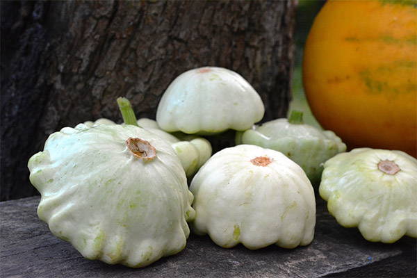 Interessante Fakten über Squash