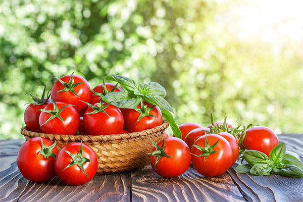 Interessante feiten over tomaten