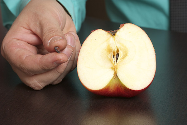 Hoe appelzaden te gebruiken