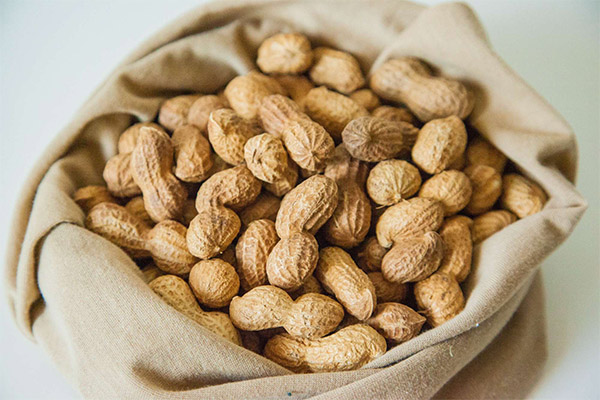 How to Pick and Store Peanuts