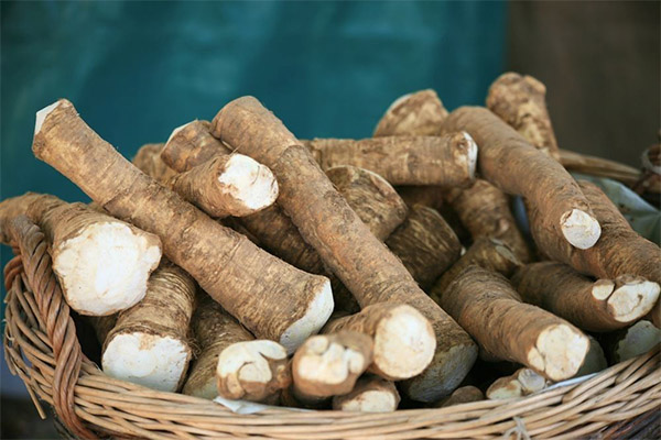 Horseradish nasıl seçilir ve saklanır