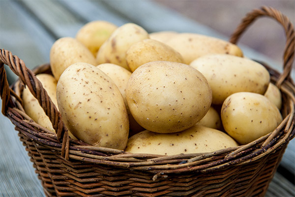 Como escolher e armazenar batatas