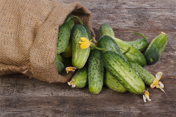 Paano pumili at mag-imbak ng mga pipino