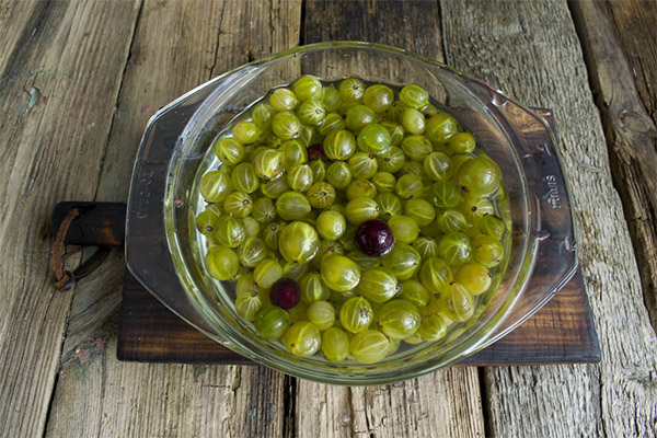 How to choose gooseberries for jam