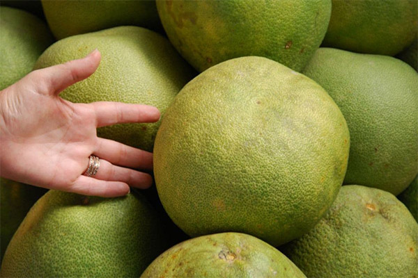 How and where to store pomelo correctly