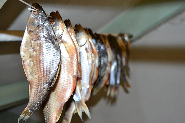 Wie getrockneter Fisch