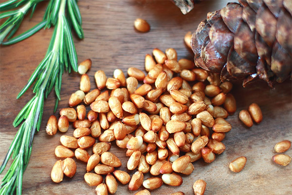 Pine nuts i medisin