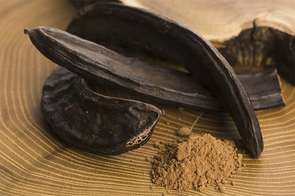 Carob ในยา