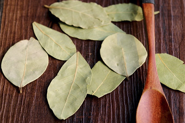 Laurel en cosmetología