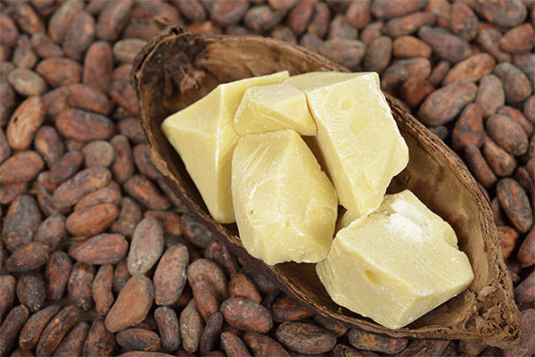 Cocoa Bean Butter