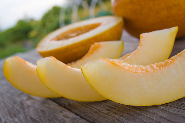 Est-il possible de donner un melon à un chien