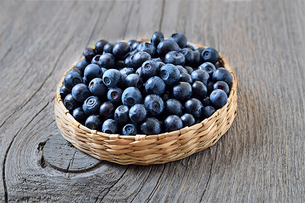 Ist es möglich, Tieren Blaubeeren zu geben?