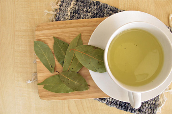 Bay leaf broth